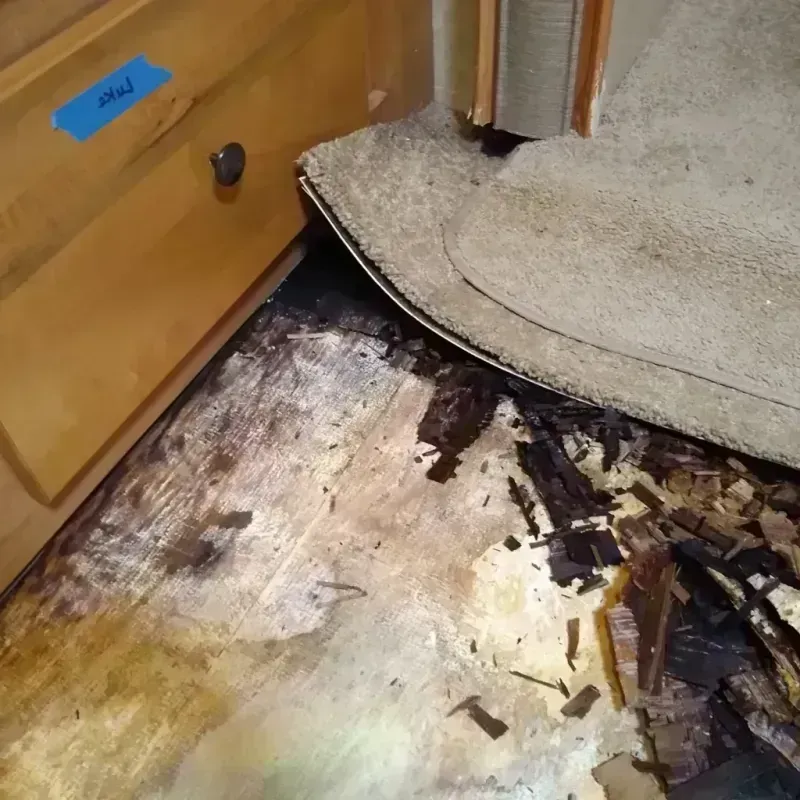 Best Wood Floor Water Damage Service in Montverde, FL